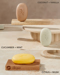 Elliqua Scented Bar Collection